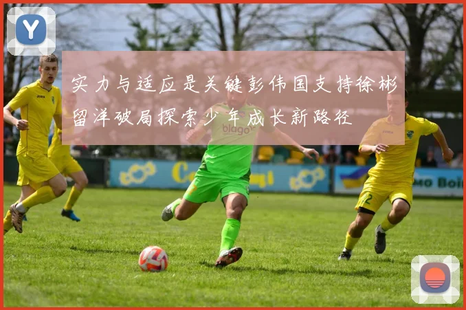 实力与适应是关键彭伟国支持徐彬留洋破局探索少年成长新路径