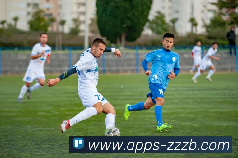 App Interface Preview