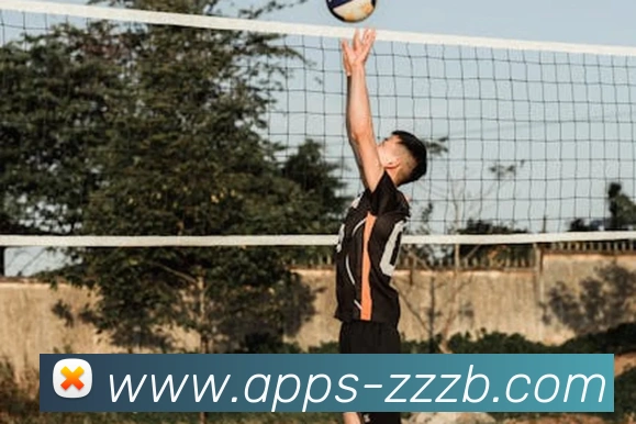 多媒体互动体验